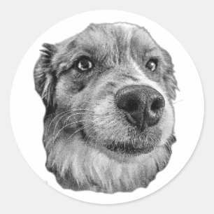 Adesivo Redondo Fecho e Leal