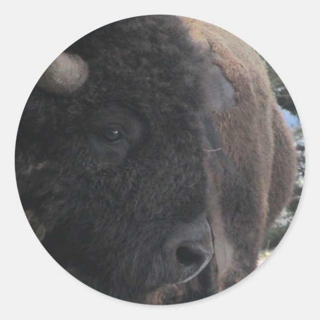 Adesivo Redondo Fecho e pessoal (Frente)