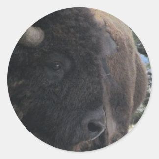 Adesivo Redondo Fecho e pessoal