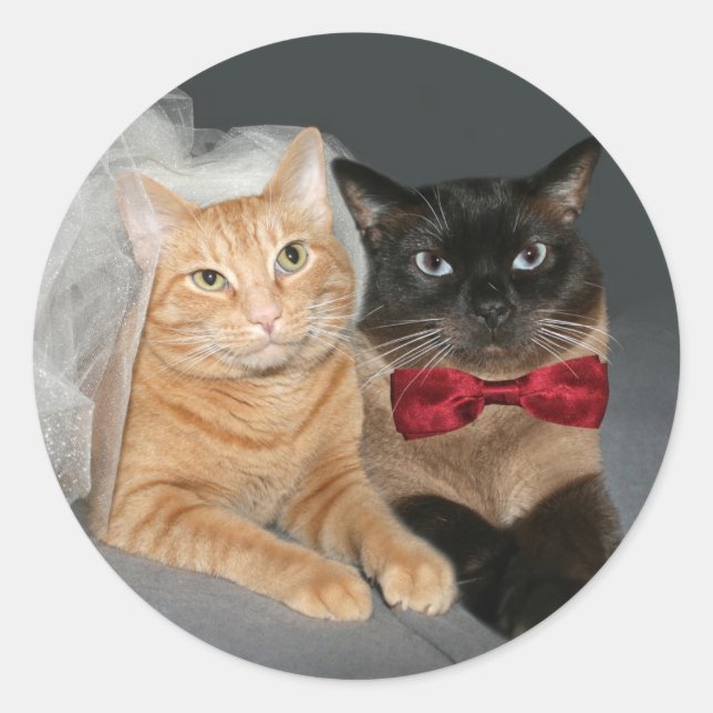 Adesivo Redondo Feline Bride e Groom (Frente)