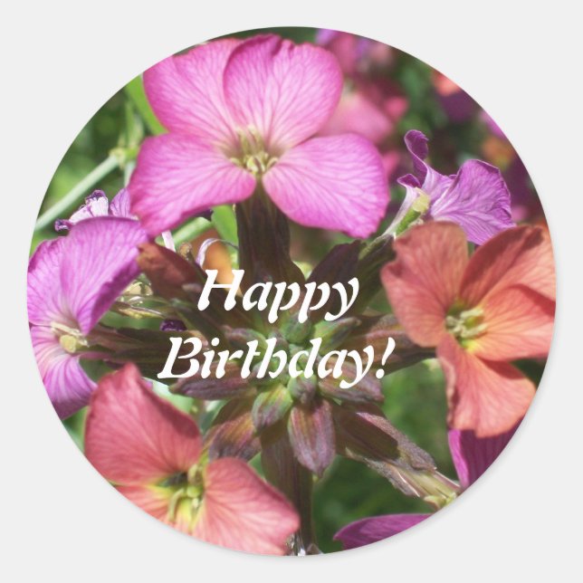 Adesivo Redondo Feliz Aleitamento de Aniversário 'Constant Cheer' (Frente)