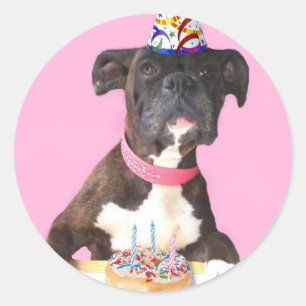 Adesivo Redondo Feliz Aniversário Boxinho
