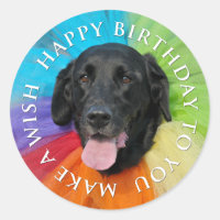 Feliz Aniversário do Costumado Black Lab