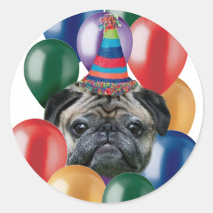 Adesivo Redondo Feliz aniversário Pug dog Stickers