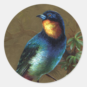 Adesivo Redondo Feliz ano novo de aves tropicais