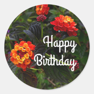 Adesivo Redondo Feliz Bday Orange Red Trailing Lantana #1 Stickers