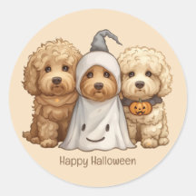Feliz Cachorro de Goldendoodle de Halloween
