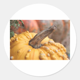 Adesivo Redondo Feliz Colheita!