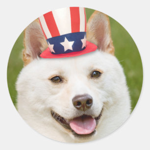 Adesivo Redondo Feliz dia 4 de julho, Shiba Inu Dog em Chapéu