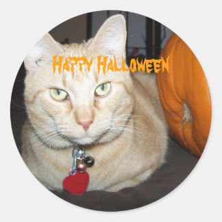 Adesivo Redondo Feliz Dia das Bruxas Gato Malhado Laranja Com Abób