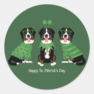 Adesivo Redondo Feliz Dia de São Patrício Bernese Mountain Dogs