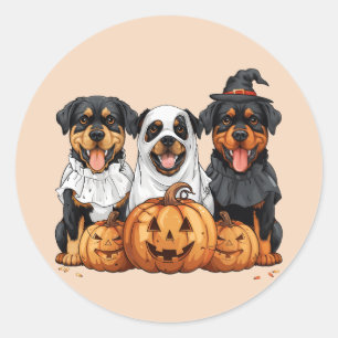Adesivo Redondo Feliz Halloween Rottweiler Cães Jack O Lanterna