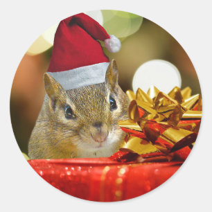 Adesivo Redondo Feliz Natal bonito do Chipmunk