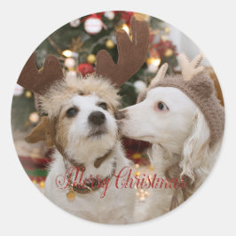 Adesivo Redondo Feliz Natal, Cães Apaixonados