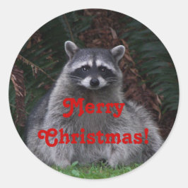 Adesivo Redondo Feliz Natal Forest Raccoon Holiday