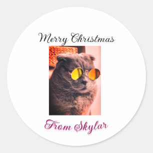 Adesivo Redondo Feliz Natal, gato, cão de estimação, foto de amor