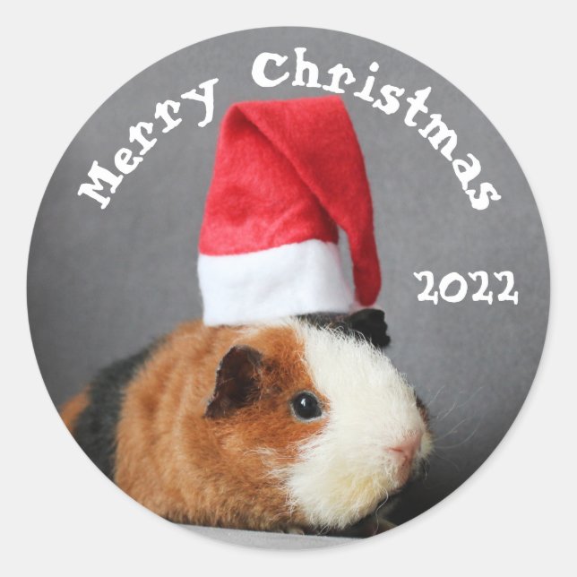 Adesivo Redondo Feliz Natal Guiné Porco em um Chapéu Santa (Frente)