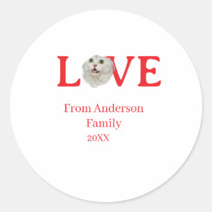 Adesivo Redondo Férias de amor foto de gato animal de estimação no
