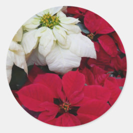 Adesivo Redondo Férias de Natal White e Red Poinsettias II