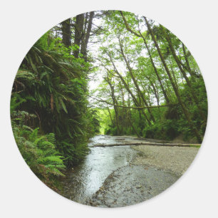 Adesivo Redondo Fern Canyon II no Parque Nacional de Redwood