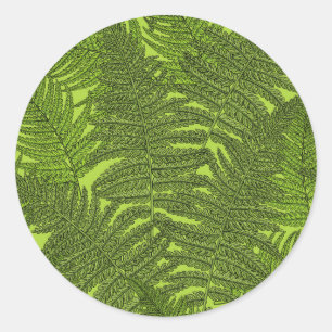Adesivo Redondo Fern em verde