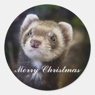 Adesivo Redondo Ferret Merry christmas