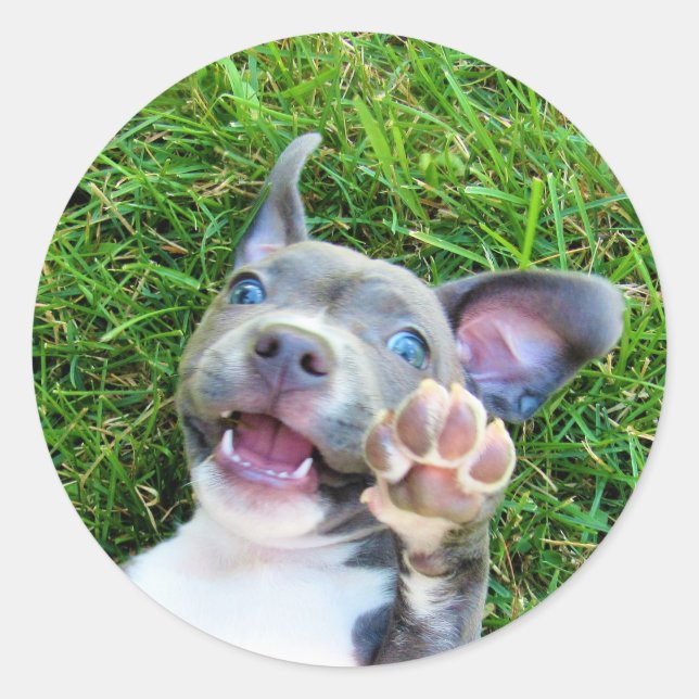 Adesivo Redondo Festa de aniversário Personalizada Personalizada d (Frente)