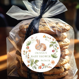 Adesivo Redondo Festa de Bebê Coelhinho Delícia da Natureza