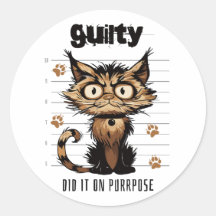 Fez de propósito - gato engraçado