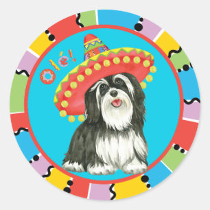 Adesivo Redondo Fiesta Havanese