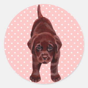 Adesivo Redondo Filhote de cachorro de Labrador do chocolate