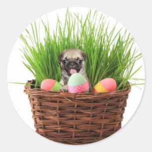 Adesivo Redondo Filhote de cachorro do pug do felz pascoa