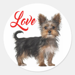 Adesivo Redondo Filhote de cachorro Yorkshire Terrier Amor Vermelh