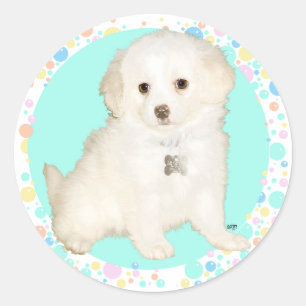 Adesivo Redondo Filhote de Poodle / Bichon Mix Celebra a Vida