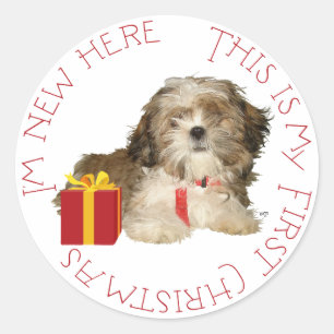 Adesivo Redondo Filhote de Shih Tzu Primeiro Natal
