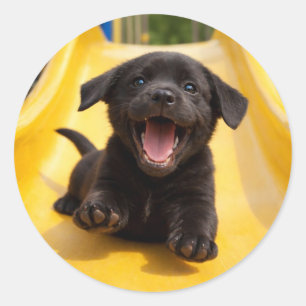 Adesivo Redondo Filhote Feliz de Labrador Retriever Preto Desliza