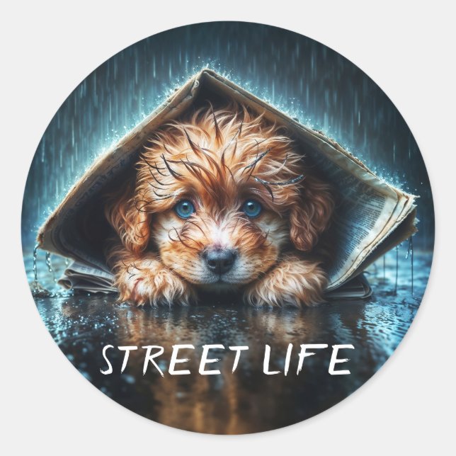 Adesivo Redondo Filhote molhado e liso que procura calor e confort (Frente)