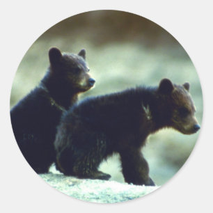 Adesivo Redondo Filhotes de urso preto