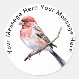 Adesivo Redondo Finch