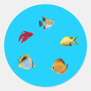 Adesivo Redondo Fishbowl