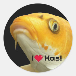 Adesivo Redondo Fishies - Koi no.5 j Kois love -! Bordador