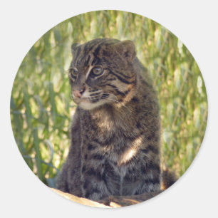 Adesivo Redondo FishingCat007