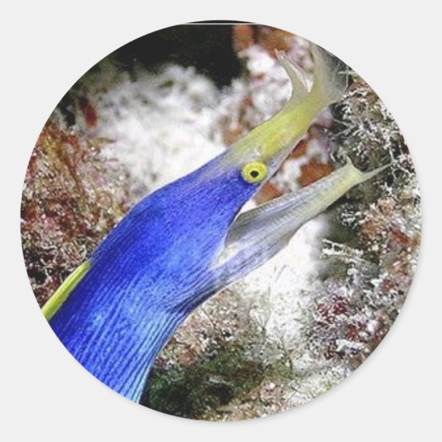 Adesivo Redondo Fita (Frente)