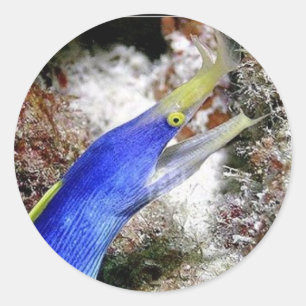 Adesivo Redondo Fita