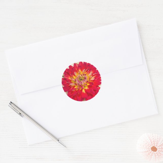 Adesivo Redondo Flaming Red E Yellow Dahlia Sticker (Envelope)
