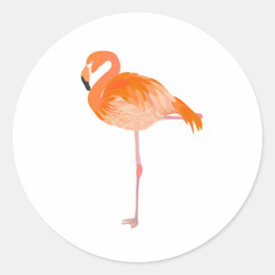 Adesivo Redondo flamingo