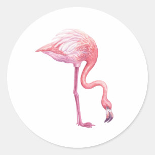 Adesivo Redondo Flamingo