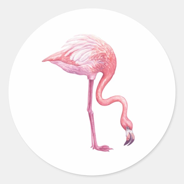 Adesivo Redondo Flamingo (Frente)