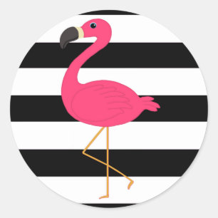 Adesivo Redondo Flamingo preto e branco do rosa da listra