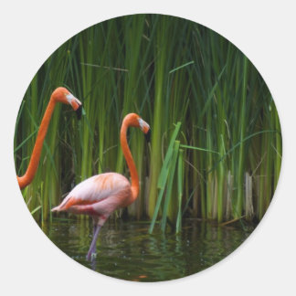 ADESIVO REDONDO FLAMINGO ROSA